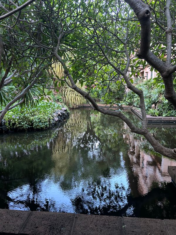 Plumeria Resort фото 46