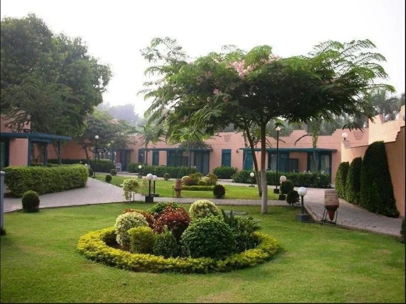 Cairo Pyramids Hotel фото 11
