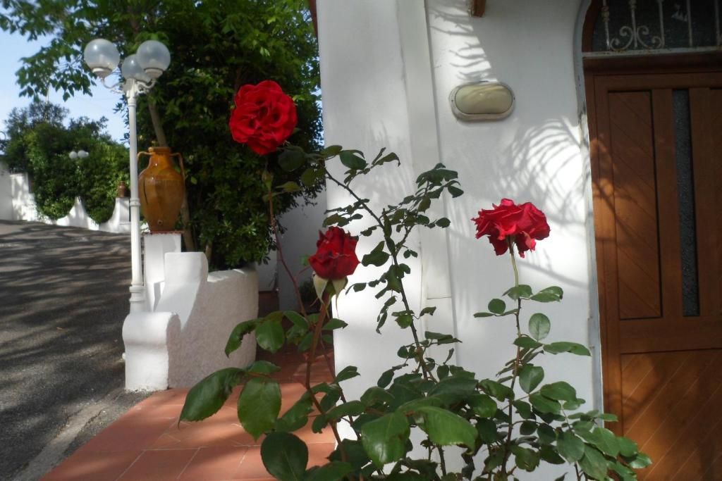 Hotel Park Calitto фото 35