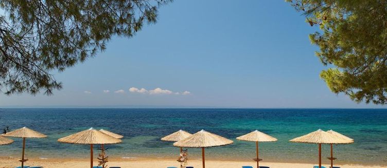 Фото отеля Blue Dolphin Hotel