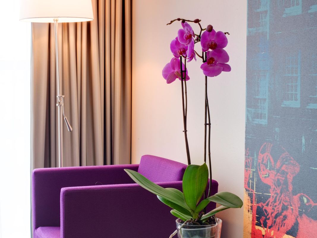 Park Hotel Amsterdam фото 3