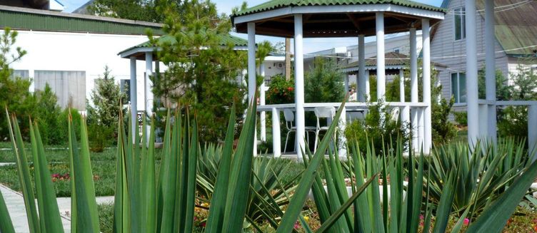 Фото отеля Дружба