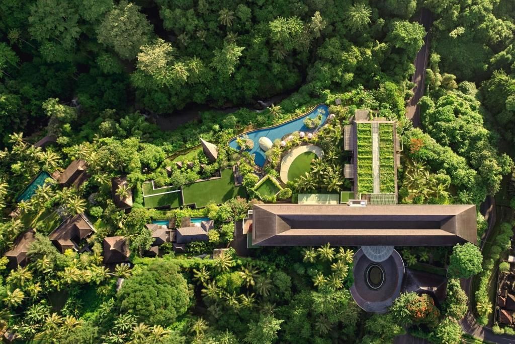 The Westin Resort & Spa Ubud фото 28