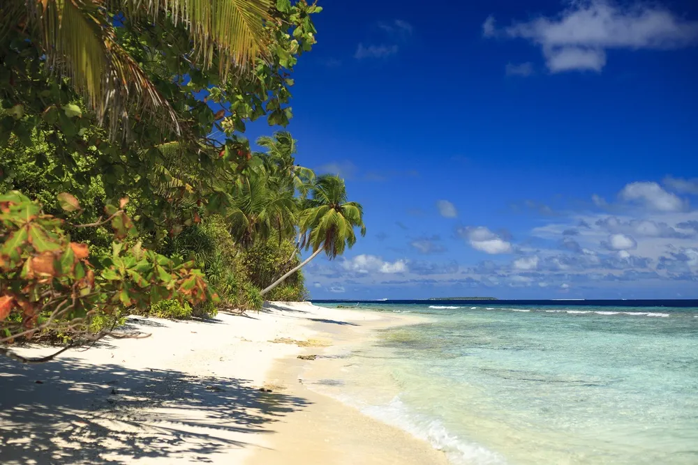 Dhonfulhafi Beach View & Spa фото 22