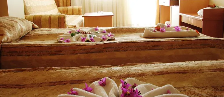 Фото отеля Therme Maris Healthy & SPA Resort