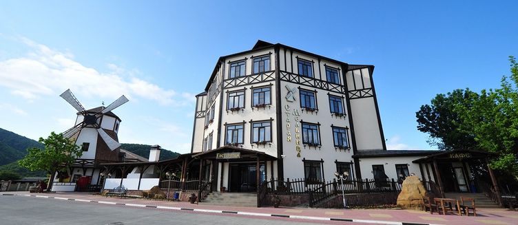 Фото отеля Старая Мельница