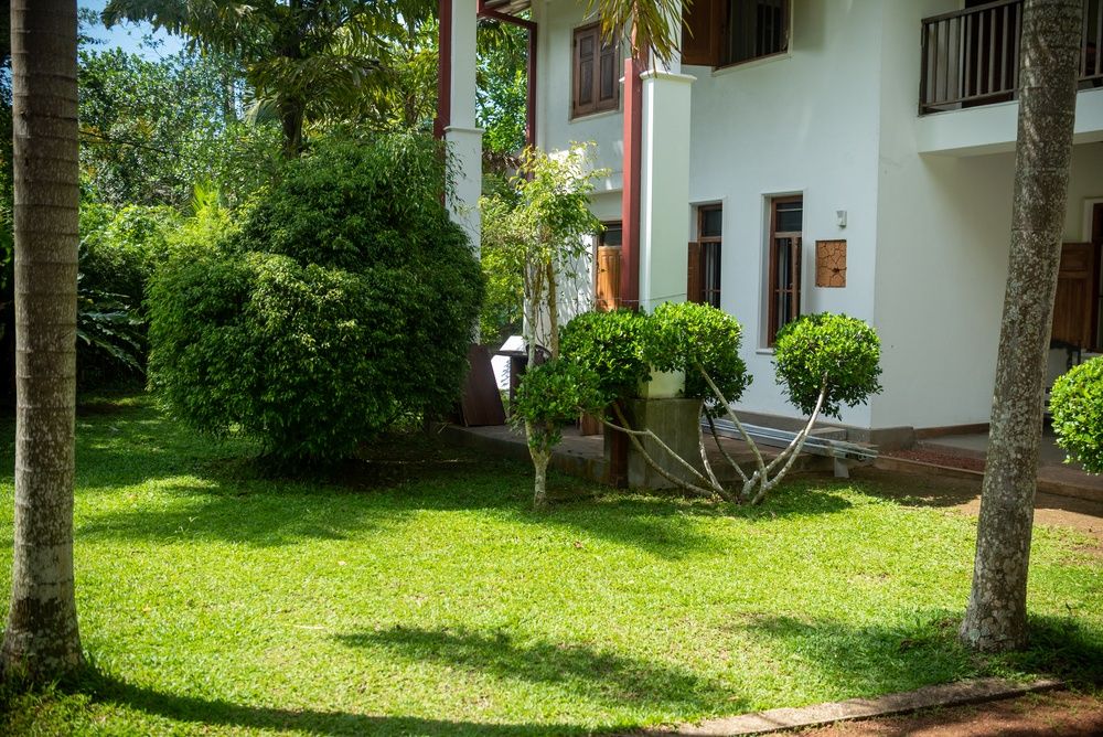 Green Edge Villa фото 45