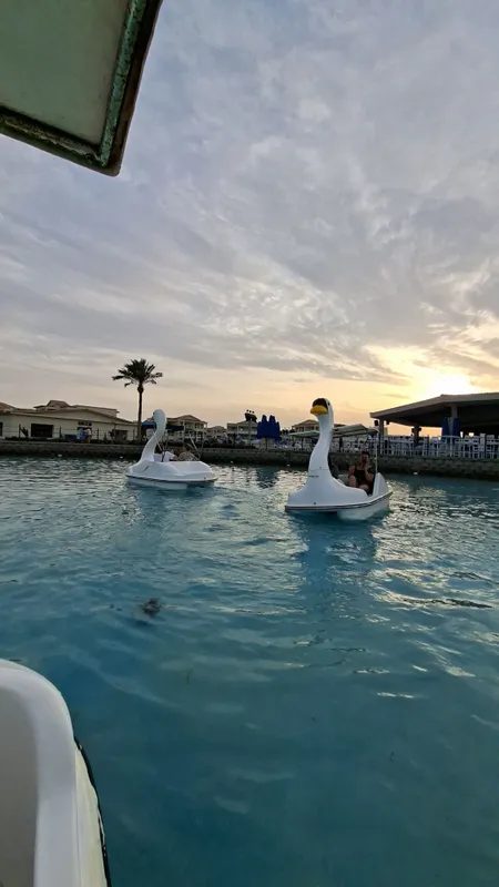 Albatros Makadi Resort фото 182