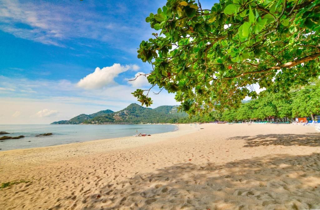 First Bungalow Beach Resort фото 62