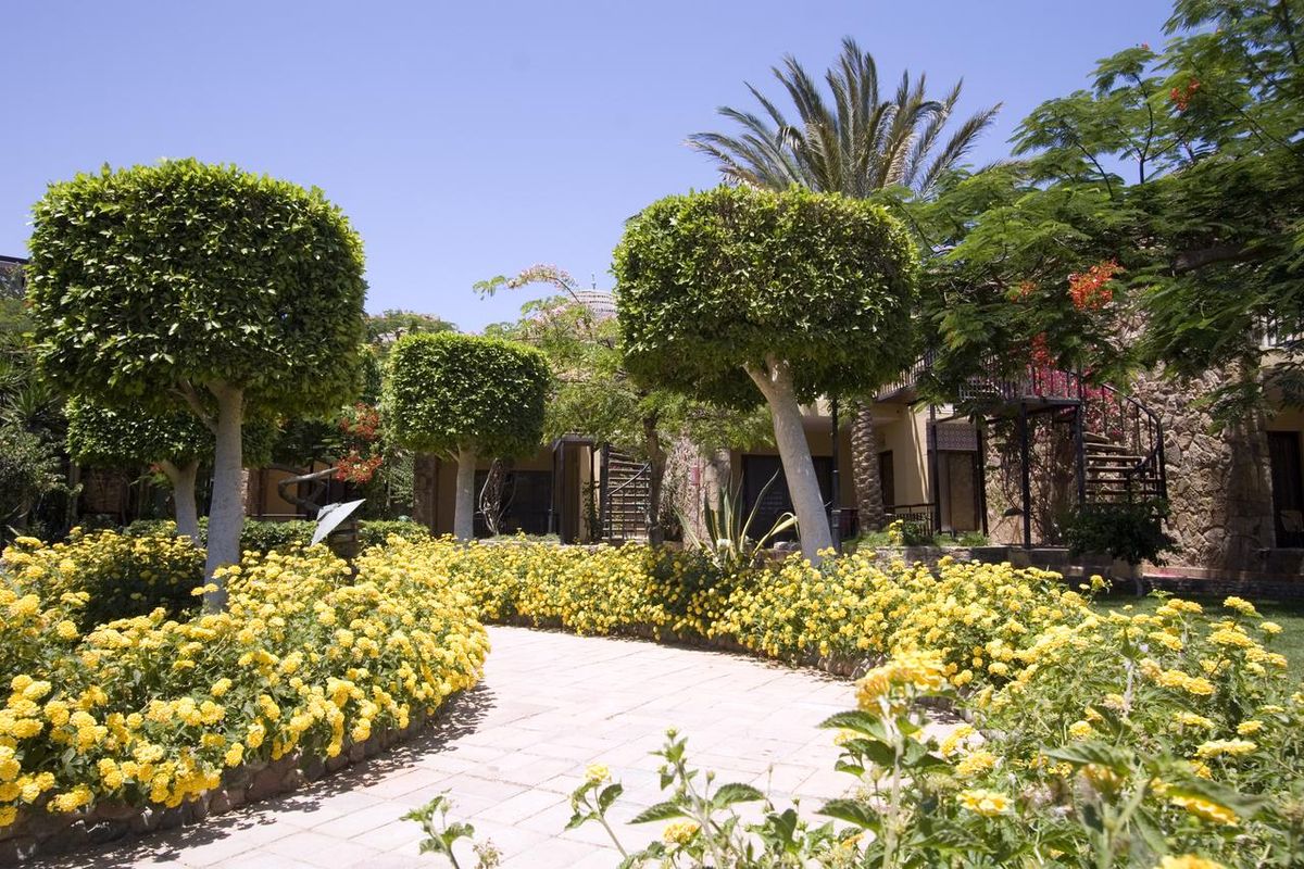 Jewels Sahara Boutique Resort фото 8