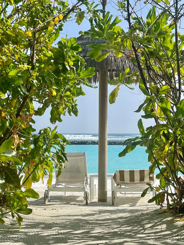 Joy Island фото 63