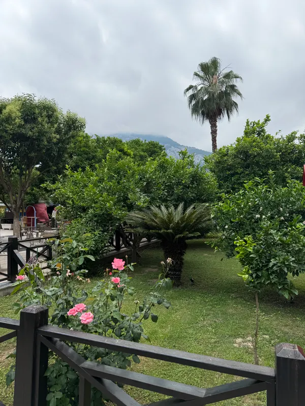 Selcukhan Hotel фото 46