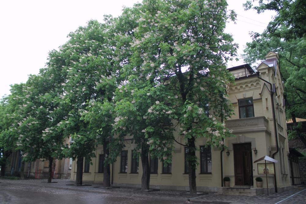 Санаторий «Княжна Мери» фото 2