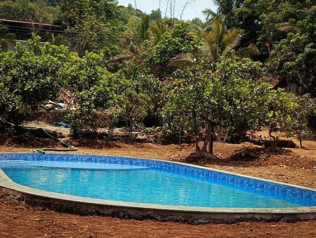 Guest House «Guest House Gabriel & Felicidade Villa» фото 19