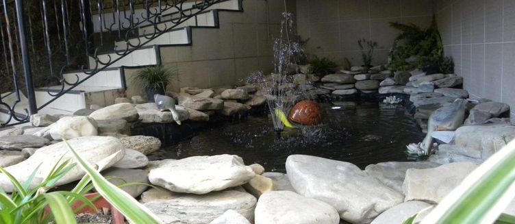 Фото отеля Лукоморье