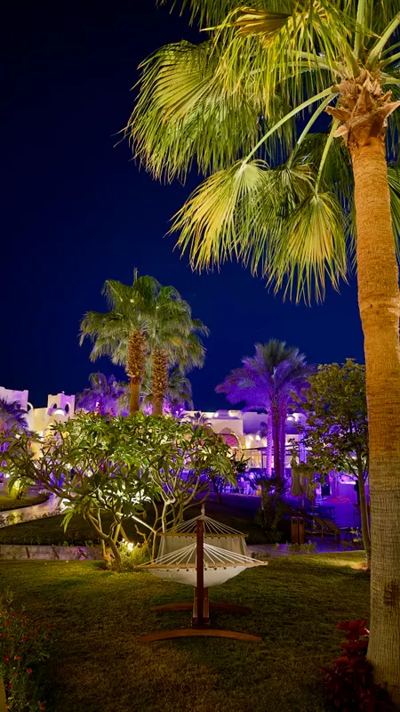 Swissotel Sharm El Sheikh фото 133