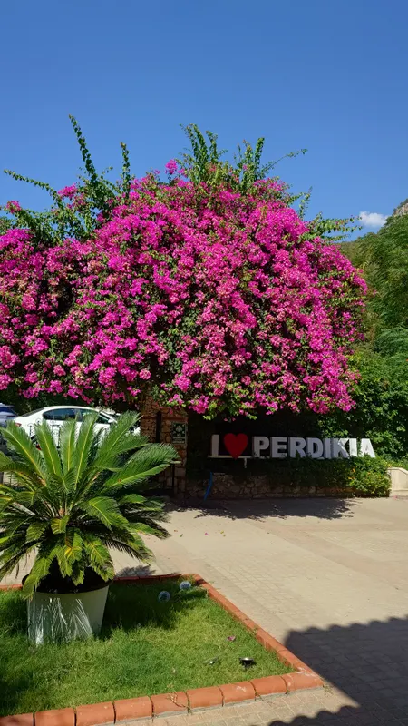 Perdikia Beach Hotel фото 11