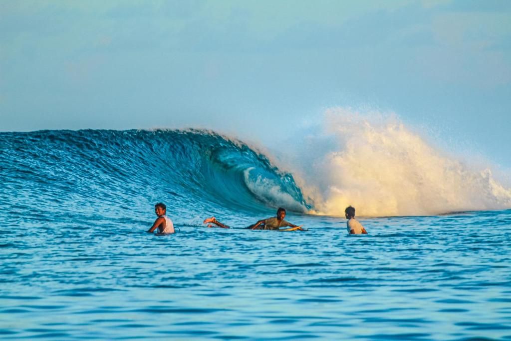 Guest House «The Maverick Surf & Dive Lodge Guest House» фото 46