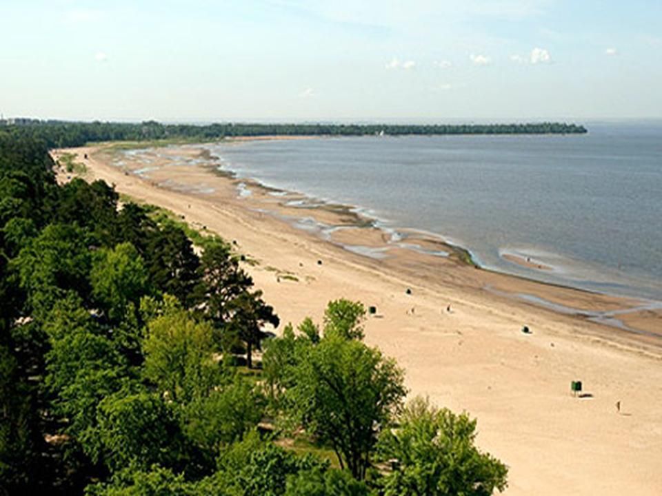 Парк-отель «Repino Cronwell Park Hotel» фото 16
