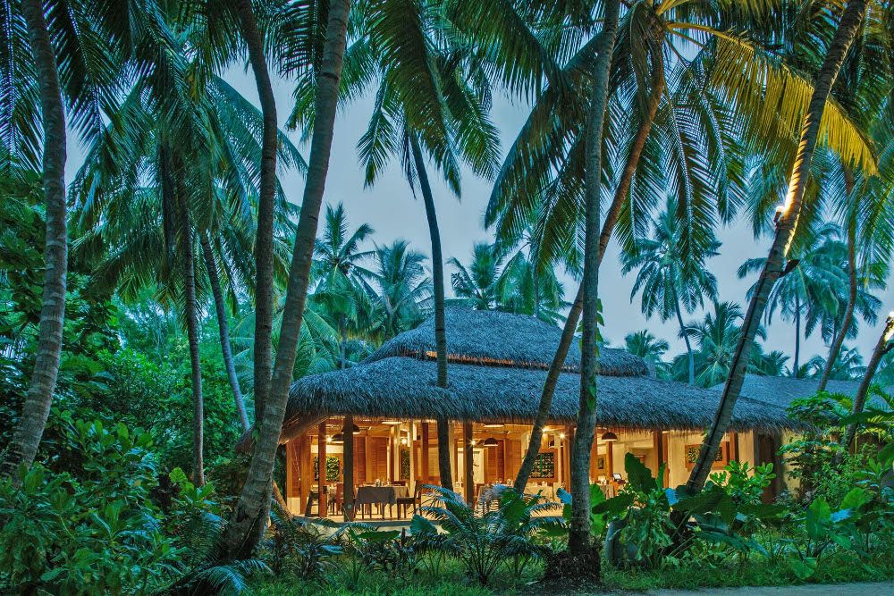 Niva Kuramathi Maldives фото 110