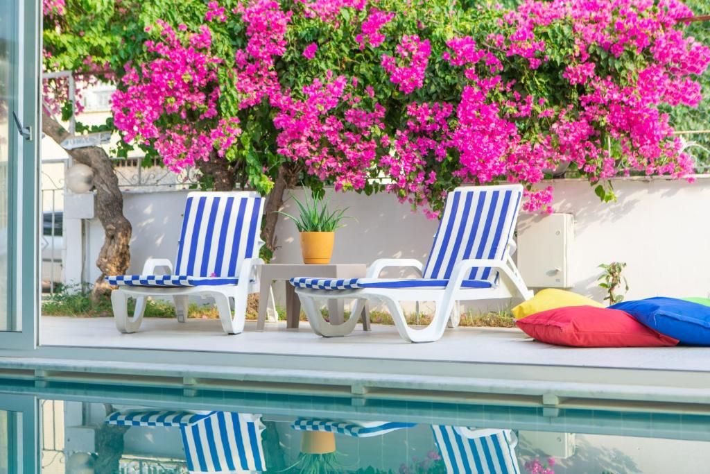 Olya Boutique Hotel фото 7