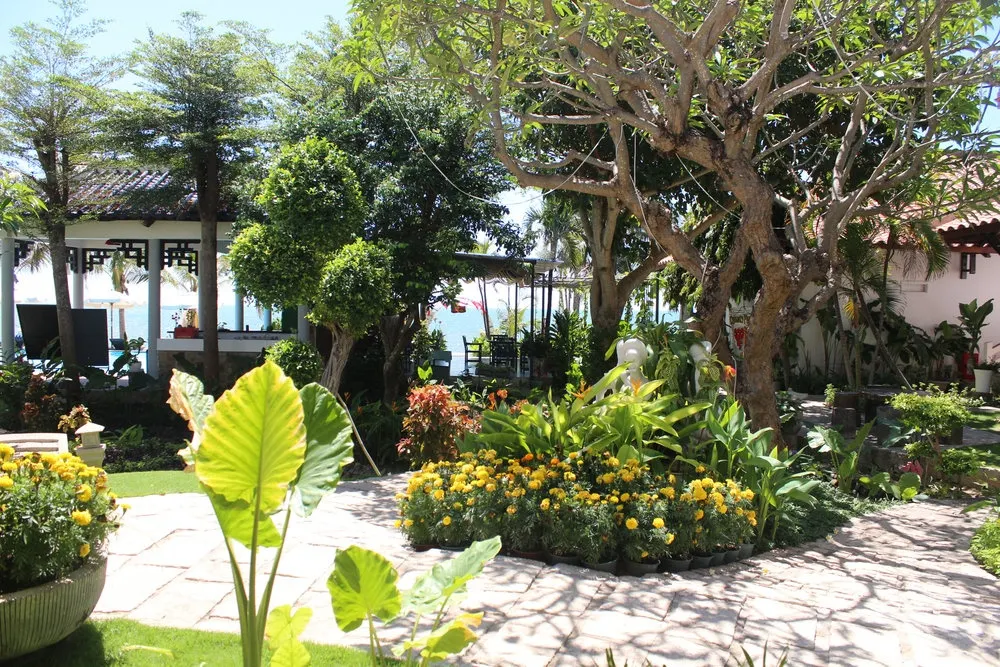 Dynasty Muine Beach Resort фото 111