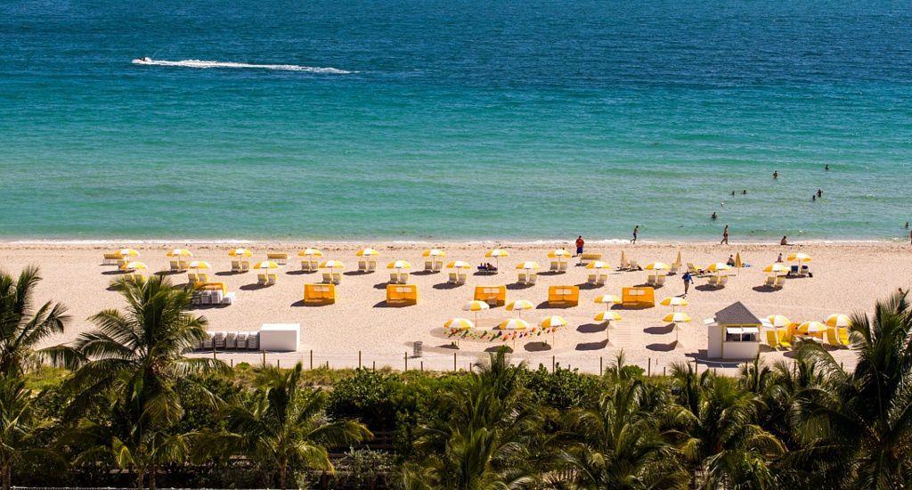 Cadillac Hotel & Beach Club, Autograph Collection фото 18