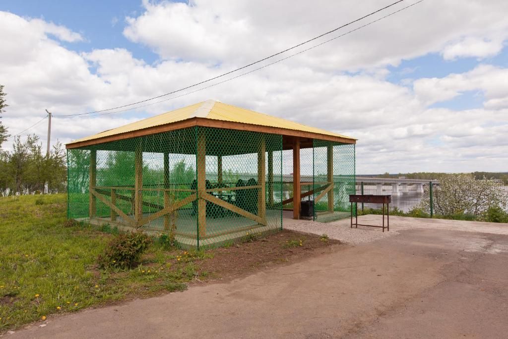 Регина фото 30