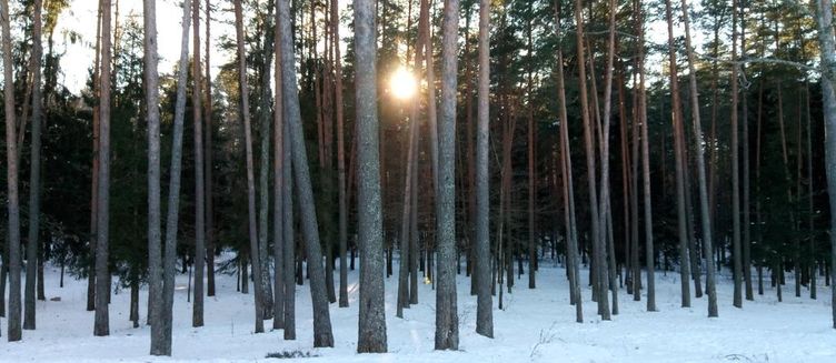 Фото отеля Чаборок
