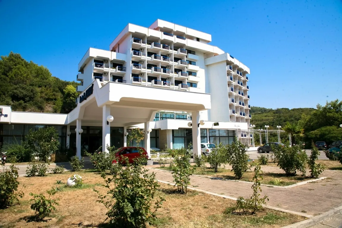 Albatros фото 1