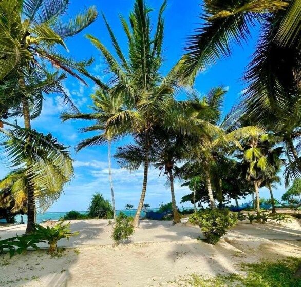 Mambo Beach Villas фото 12