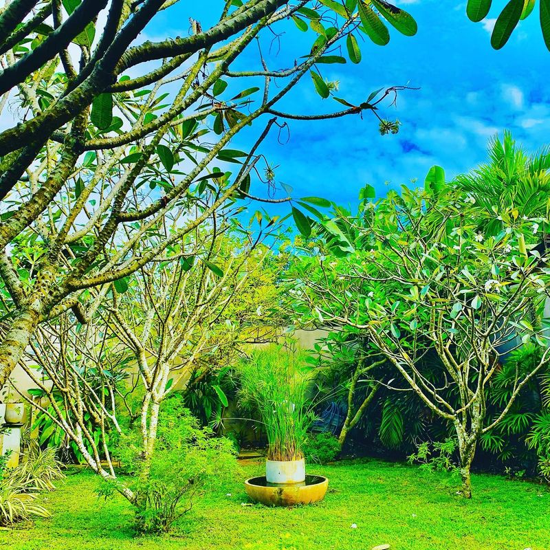 Jetleaf Villas фото 15