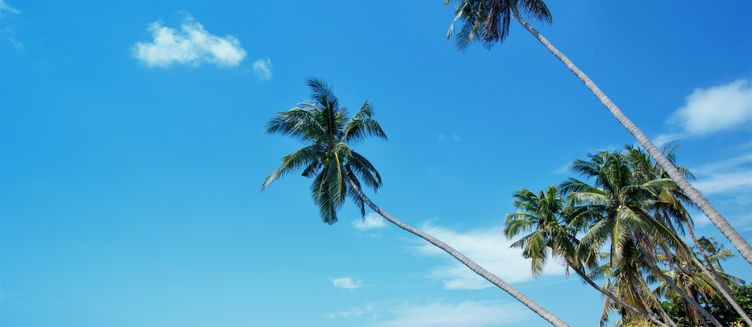 Фото отеля Khwan Beach Resort – Luxury Glamping and Pool Villas Samui - Adults Only