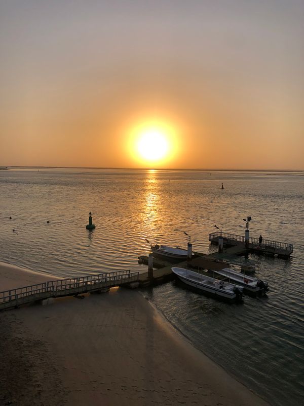 Flamingo Beach Resort фото 115
