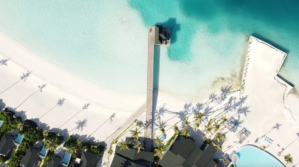Joy Island фото 34