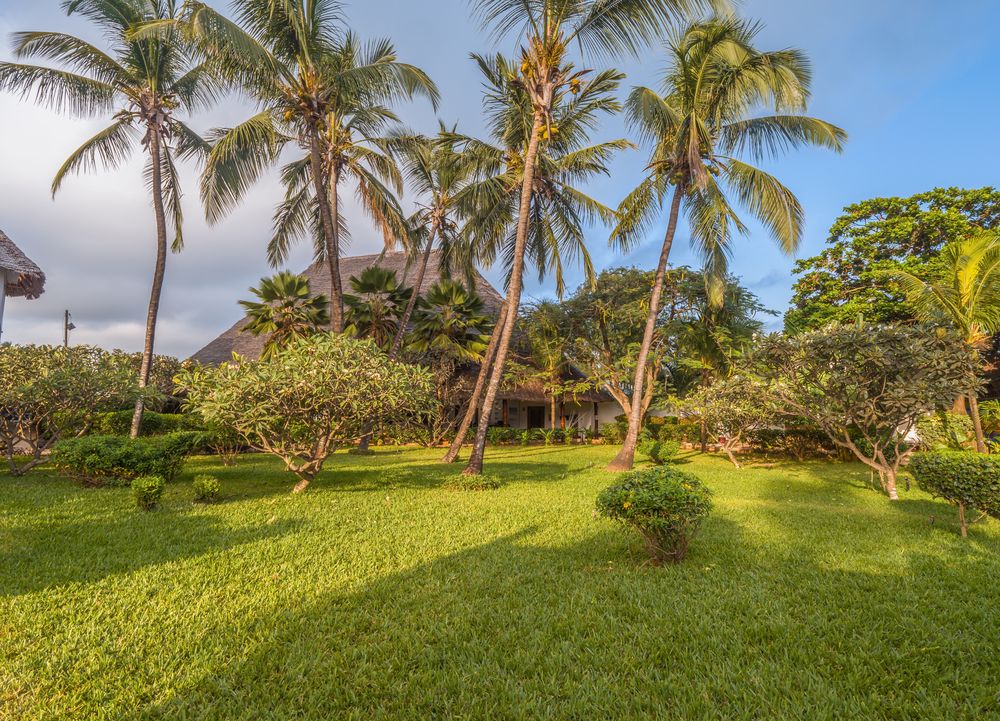 Nungwi Beach Resort by Turaco фото 106