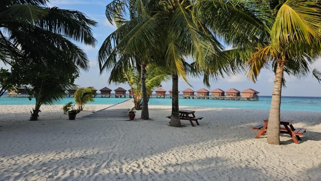 Filitheyo Island Resort фото 46