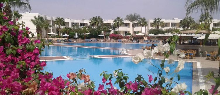 Фото отеля Sharm Reef Hotel