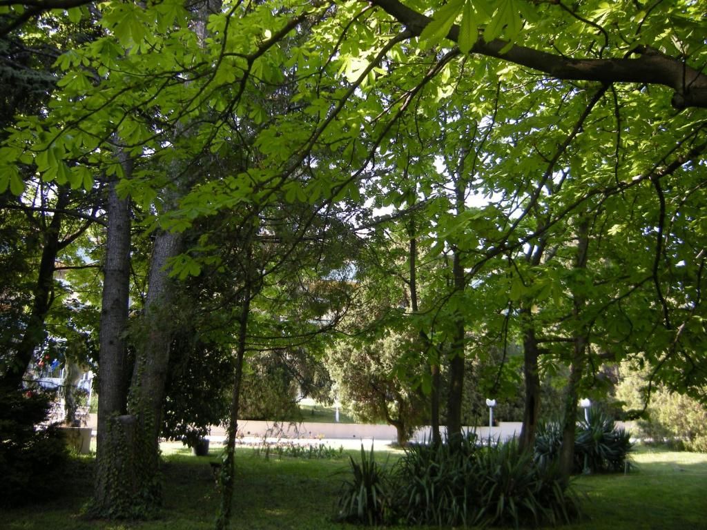 Park Hotel Persey фото 7