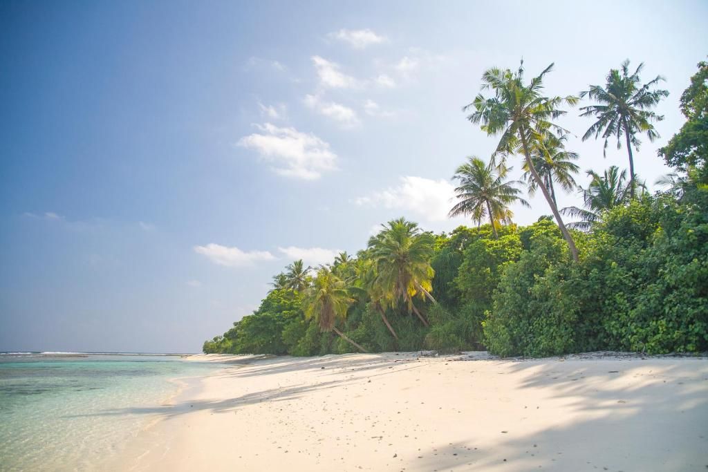 Dhonfulhafi Beach View & Spa фото 66