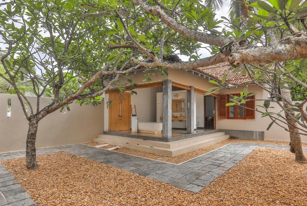 The Frangipani Tree by Edwards Collection фото 49