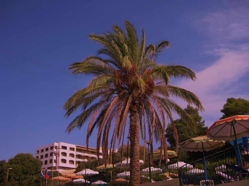Romanza Mare фото 12