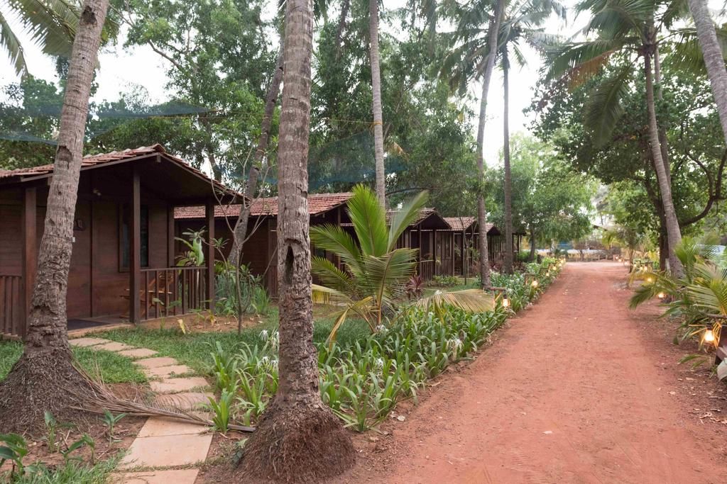 Mandrem Village Resort фото 3