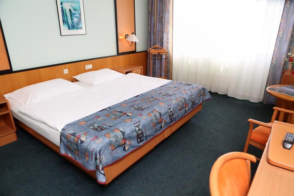 Hotel Cechie Praha фото 21