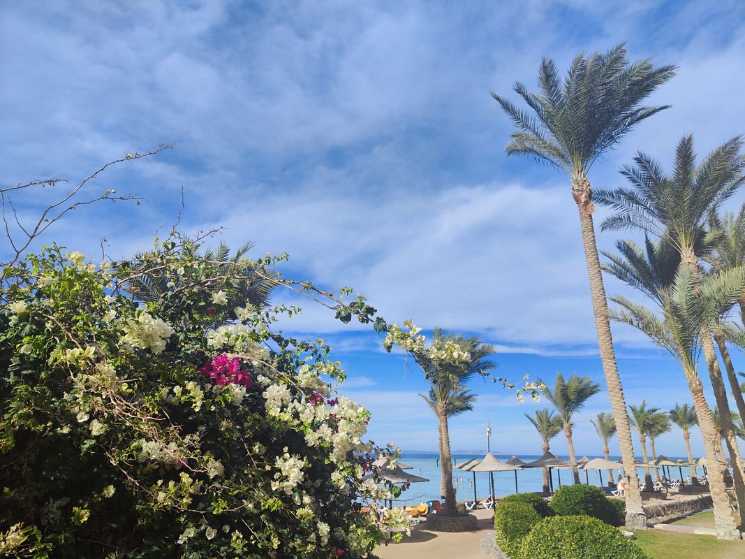 Sunny Days El Palacio Resort & Spa фото 308