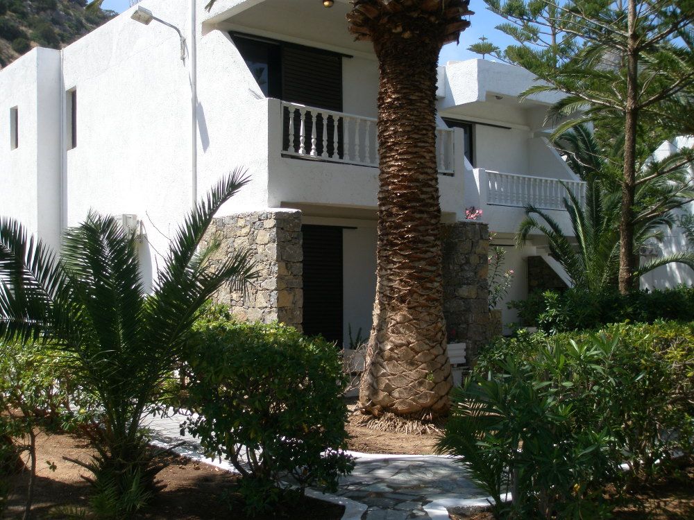 Avra Palm фото 11