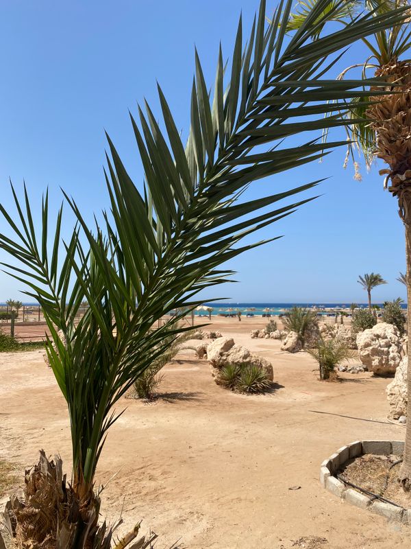 Coral Beach Hurghada фото 63