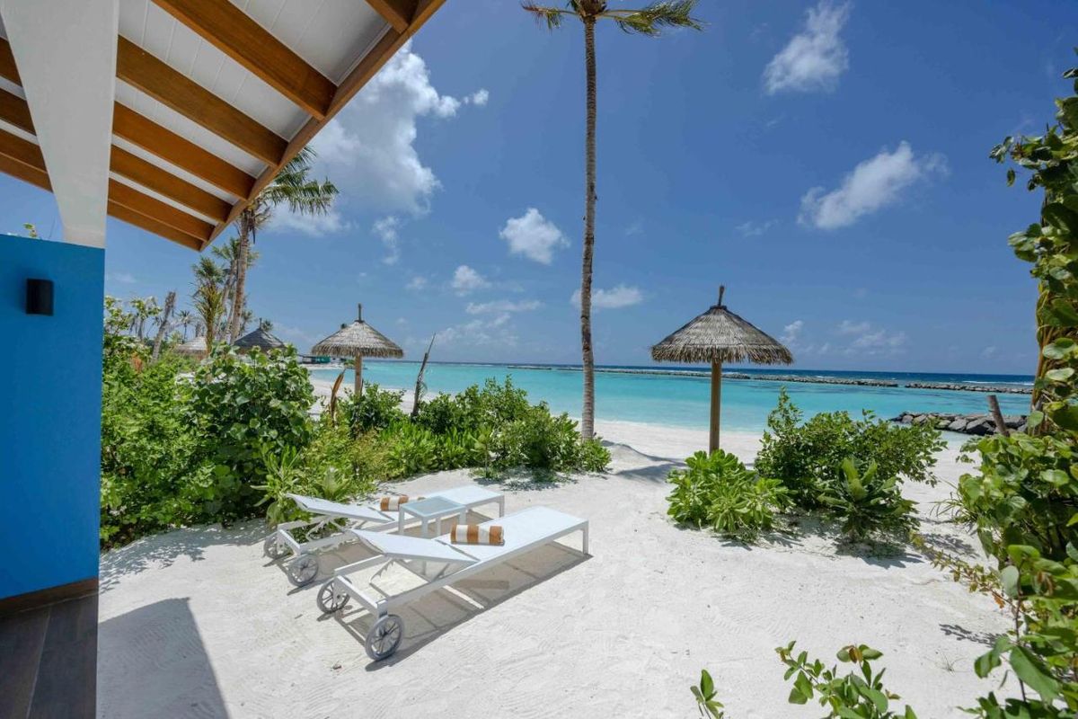 Joy Island фото 72