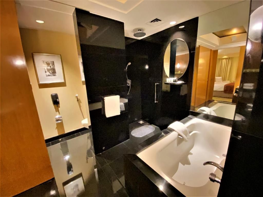 The Grand New Delhi Hotel фото 0