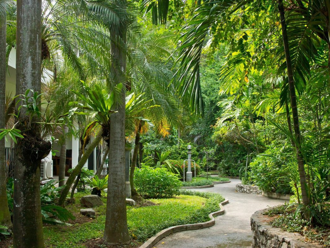 Sunshine Garden Resort фото 50